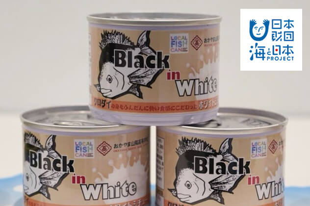 Black in White クロダイホワイトシチュー