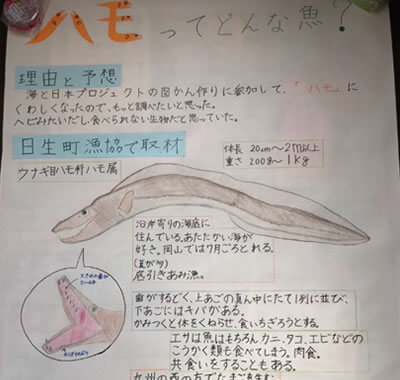 ハモについて調べたら肉食らしい大きな歯がありました
