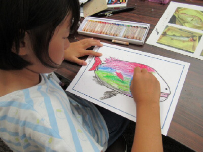 写真を見ながらカラフルに仕上げています