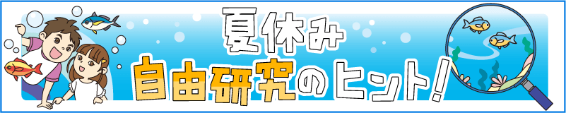 夏休み自由研究のヒント