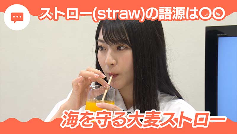 ストローの語源は大麦！海を守る大麦ストロー
