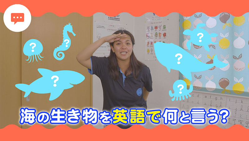 英語の歌で海の生き物を学ぼう！