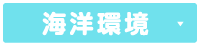 海洋環境