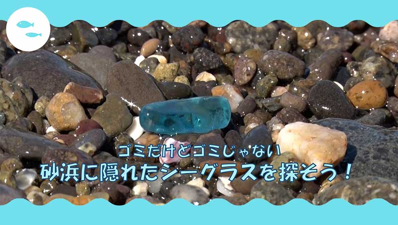 ゴミだけどゴミじゃない砂浜に隠れたシーグラスを探そう！