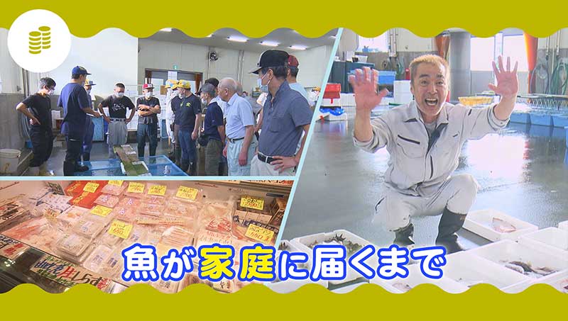 魚が家庭に届くまで