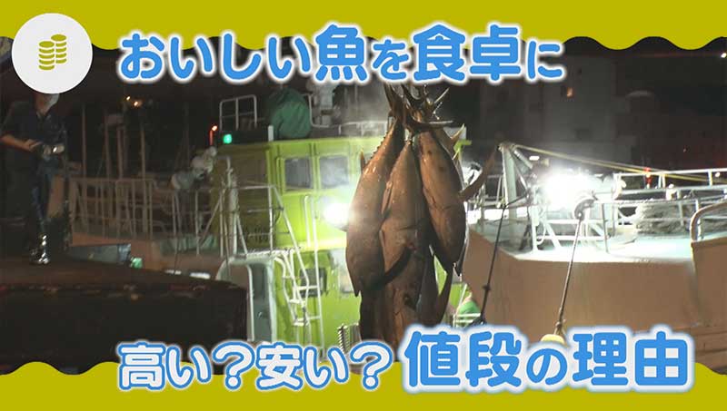 おいしい魚を食卓に 高い？安い？ 値段の理由