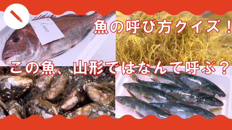 地域によって名前が違う!?海産物の不思議