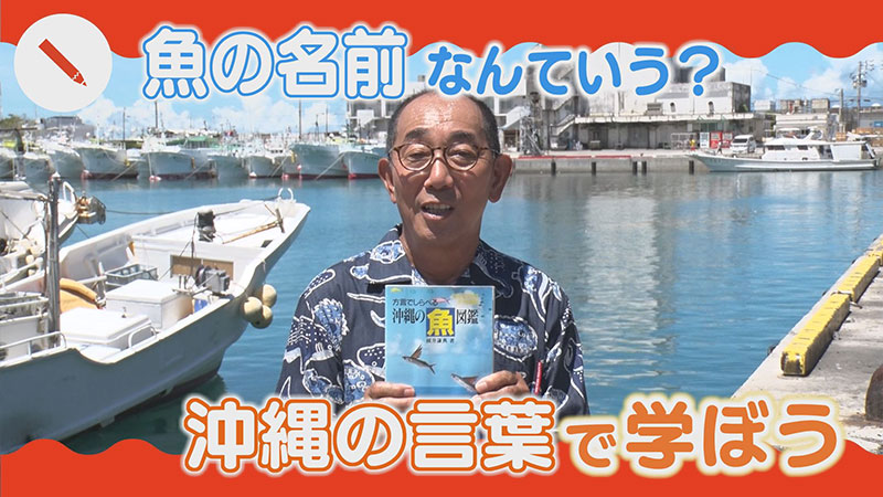 魚の名前なんていう？ 沖縄の言葉で学ぼう