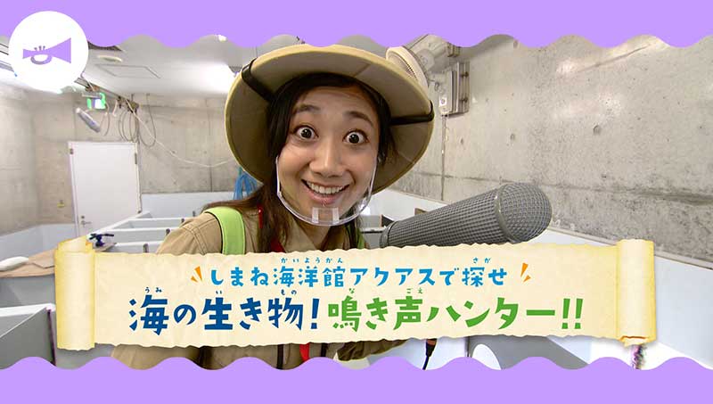 海の生き物！鳴き声ハンター！