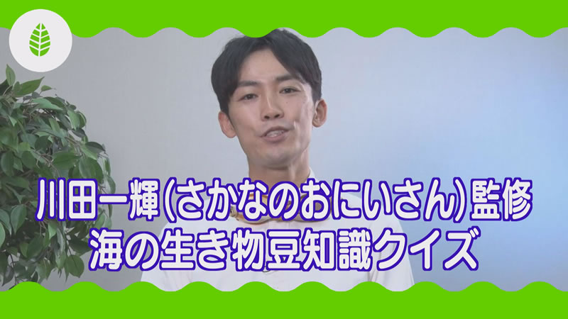 川田一輝(さなかのおにいさん)監修 海の生き物豆知識クイズ