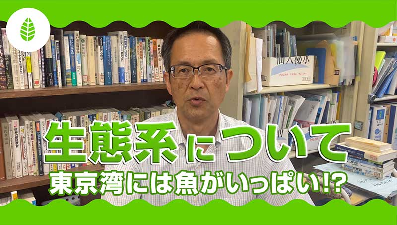 生態系について～東京湾には魚がいっぱい？！～