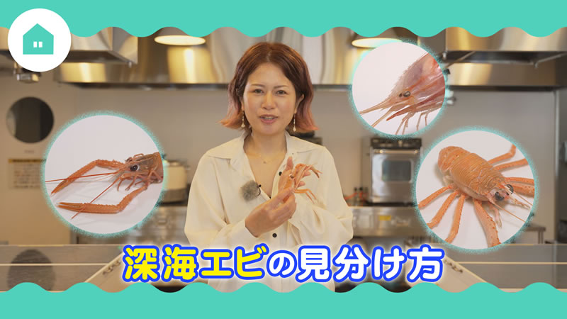 深海エビの見分け方