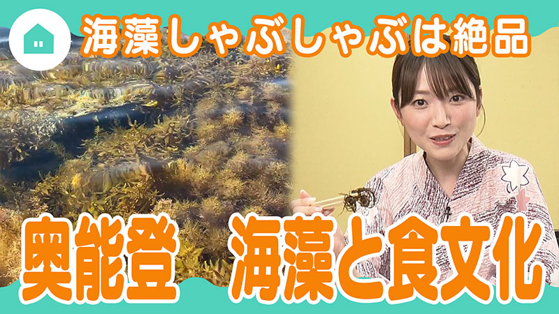 奥能登 海藻と食文化