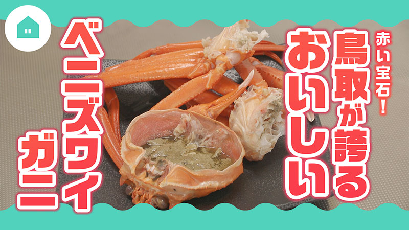 赤い宝石！鳥取が誇るおいしいベニズワイガニ