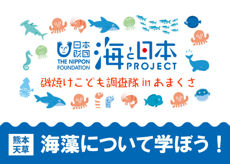 磯焼けこども調査隊inあまくさ