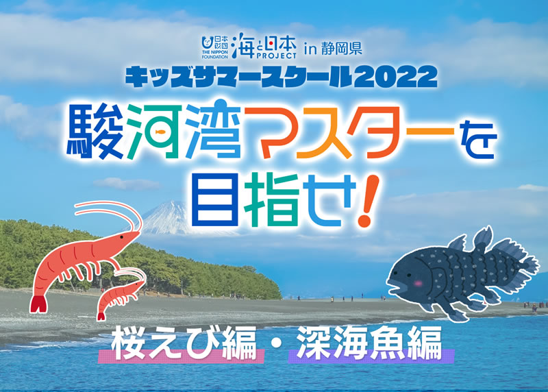 駿河湾マスターを目指せ