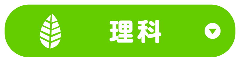 理科