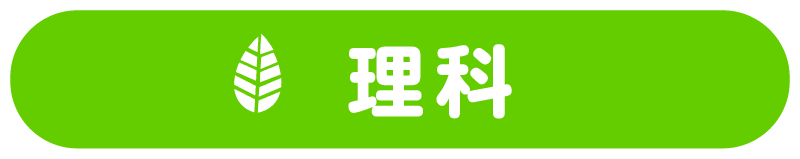 理科