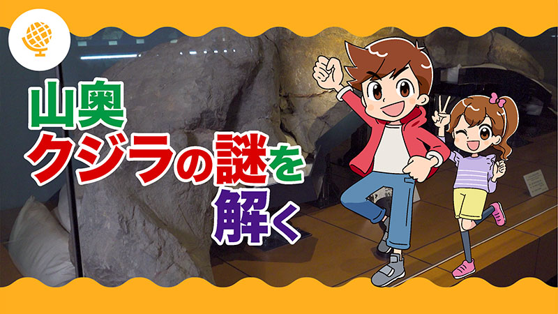 山奥クジラの謎を解く