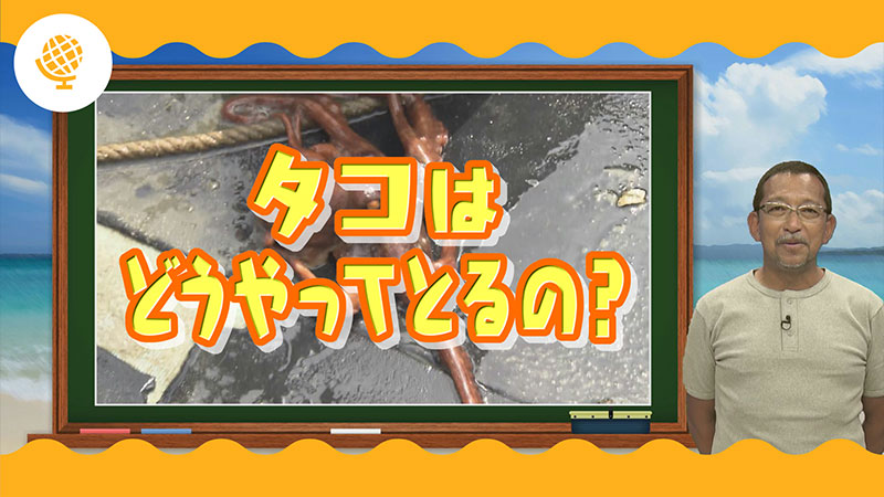 タコはどうやってとるの？