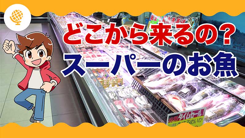 どこから来るの？スーパーのおさかな