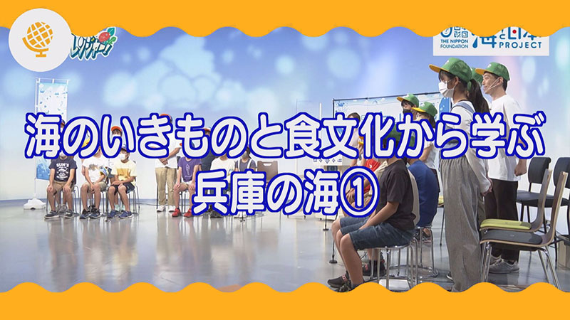 海のいきものと食文化から学ぶ兵庫の海①