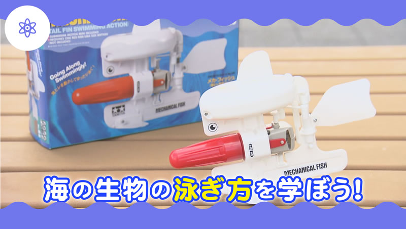 海の生物の泳ぎ方を学ぼう