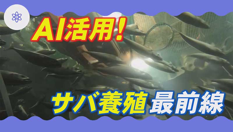AI活用！鯖養殖最前線