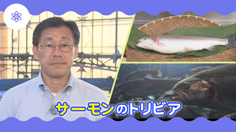 サケ・サーモンのトリビア６～三保サーモンの秘密～
