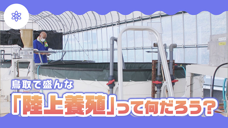 未来の海を守る！鳥取で盛んな「陸上養殖」って何だろう？