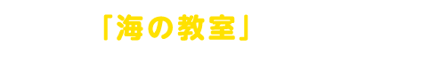 海の教室でできること