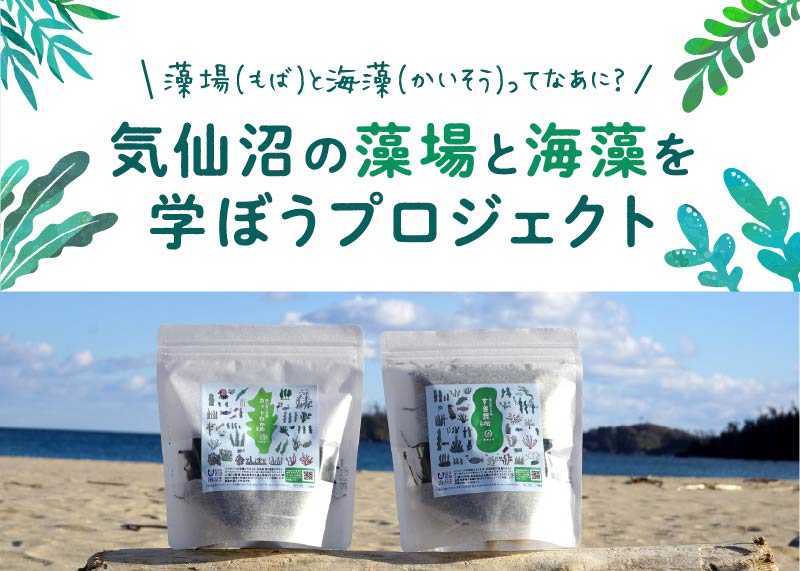 気仙沼の藻場と海藻