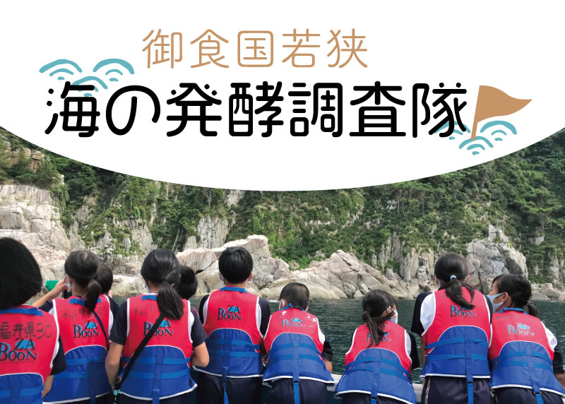 海の発酵調査隊