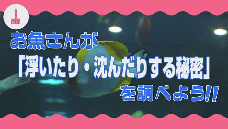 お魚さんが「浮いたり沈んだりする秘密」を調べよう!!