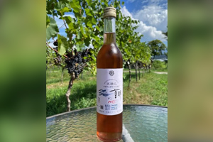 最新情報 サムネイル