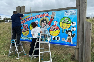 最新情報 サムネイル