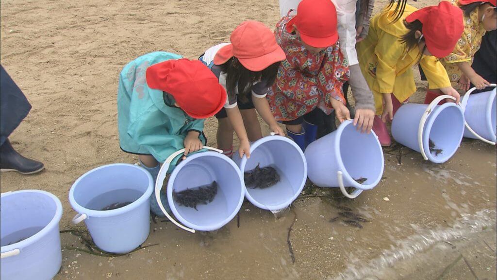 稚魚や幼生を放流して、海の資源を育む。海の未来につながる取り組みをご紹介します！