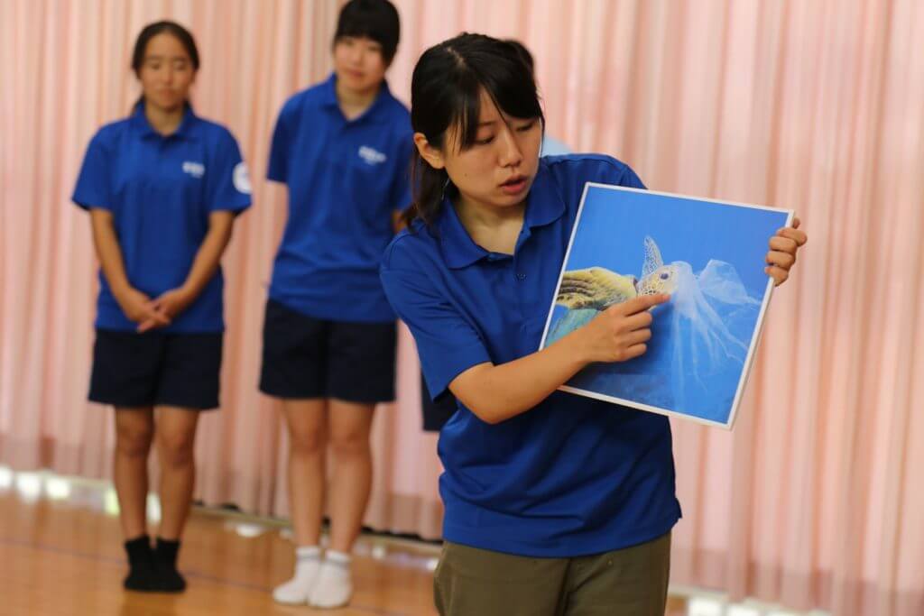 身近な海に生息する、生きものを観察してみよう