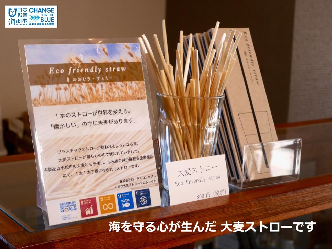 再生可能な紙や大麦のストローを通して 環境問題を見つめ直そう