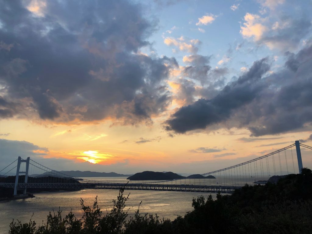 こんなところにも！　海のまわりの豊かな自然