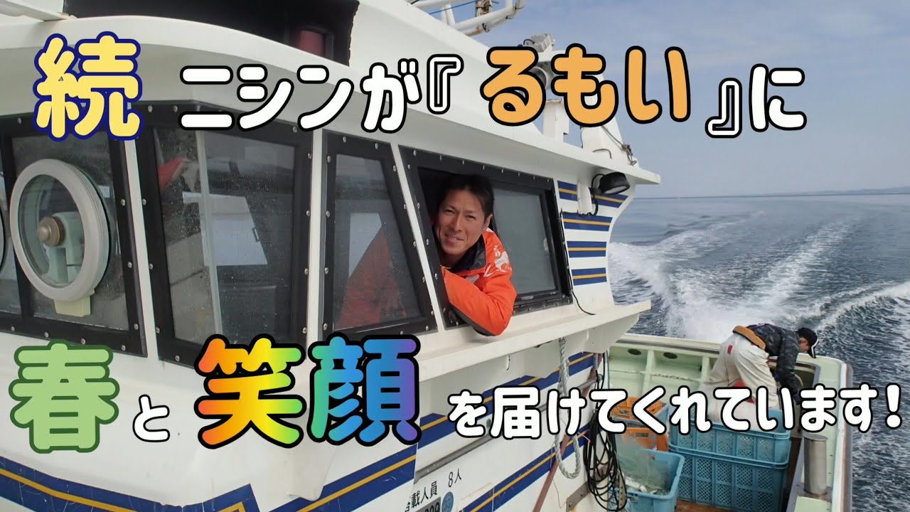魚を食べて漁業を応援！ 消費拡大を目指して奮闘中