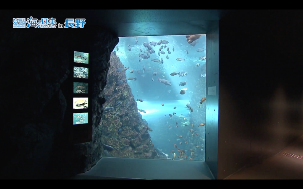 展示イベントだけじゃない!? 「水族館大国」日本の飼育技術、調査研究にも注目！
