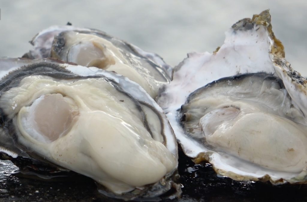 産地ならでは! 冬の海の幸「牡蠣」、各地それぞれの楽しみ方