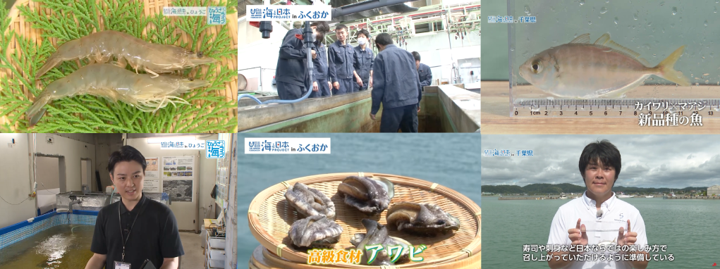 海の恵みに感謝! 安定供給をもたらす養殖の新しいチャレンジにも注目