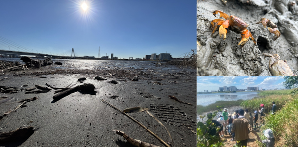 絶滅危惧種も生息する都会の干潟を守る。多摩川とびはぜ倶楽部＜助成事業者インタビュー＞