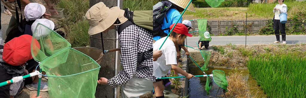 第1回ちどりからはじまる「海と環境」出前授業 田んぼは小さな水族館！—中田小学校で授業を実施しました
